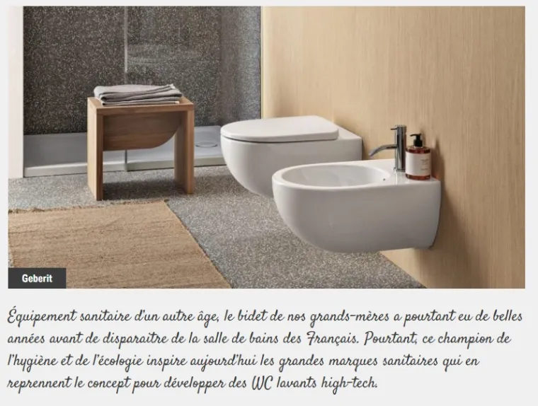 WC LAVANT aquaclean geberit et Bidet