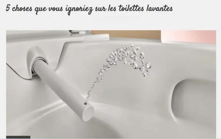 WC LAVANT ET SECHANT AQUACLEAN, Rochefort, Ekidoma